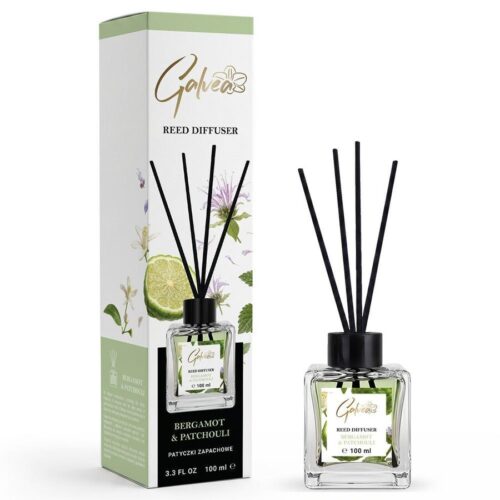 Galvea Bergamot & Patchouli – namų kvapų difuzorius su lazdelėmis, 100 ml